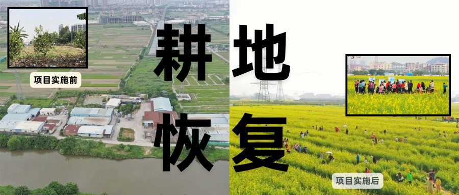 ر뾭÷չڡݸк˫ǧĶĿػָںϵĴʵ