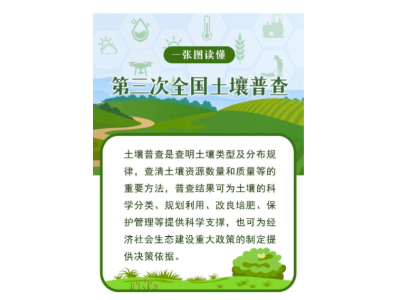 תحȫղ鹤